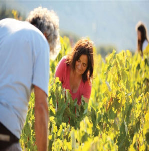 athens-wine-tasting-mygreecetours