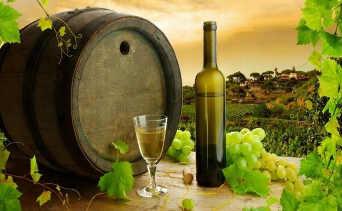 Wine Tours in Greece by My Greece Tours
